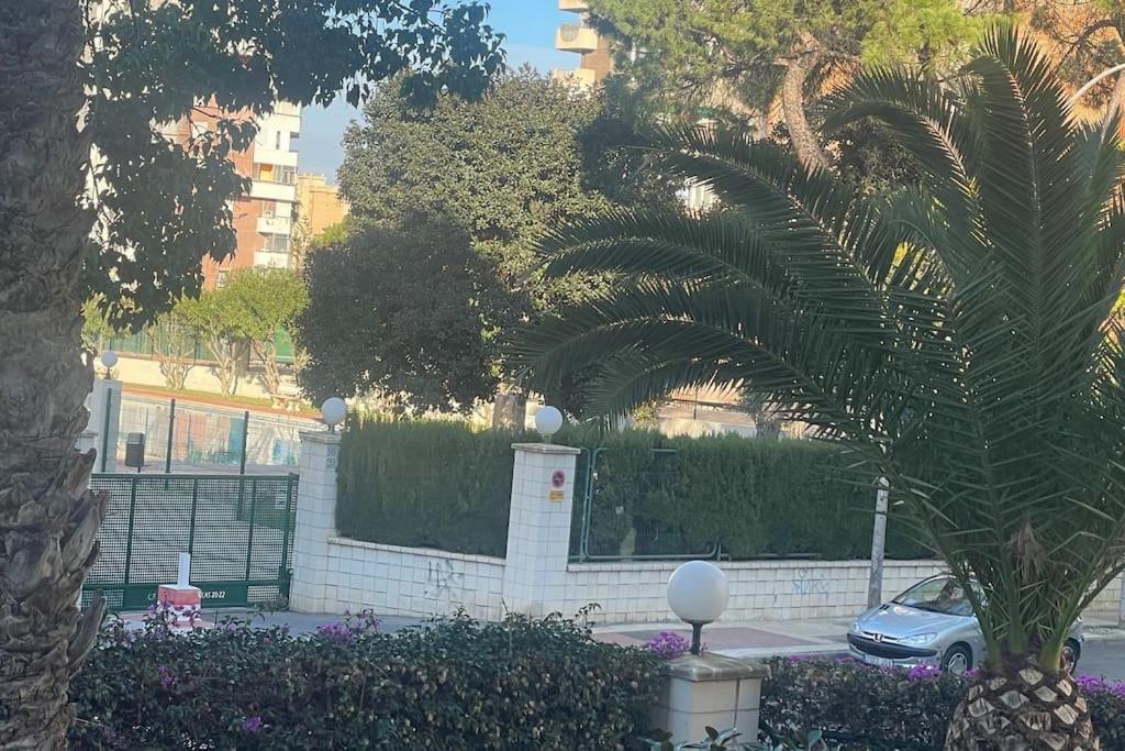 אליקאנטה Apartamento Moderno Y Coqueto En Playa San Juan מראה חיצוני תמונה